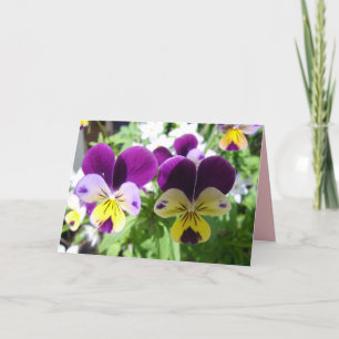 Viola violet Pansy Jolie carte fleurie