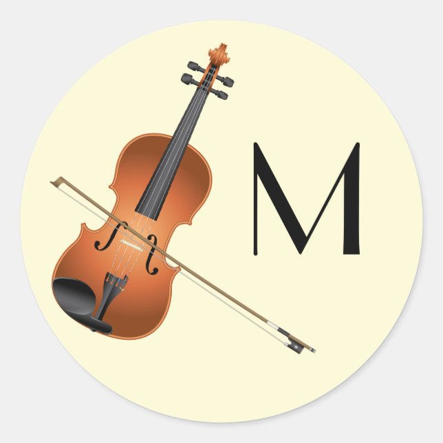 Viola Violin Music Teacher Runder Aufkleber (Vorderseite)