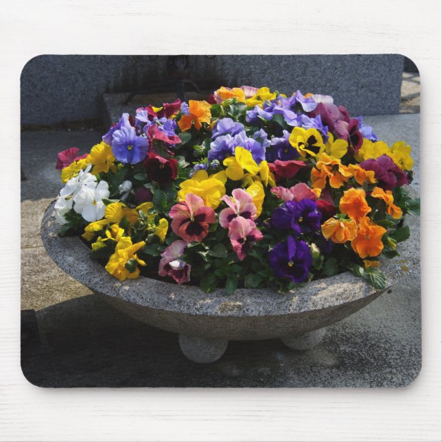 Viola witjana mousepad (Vorne)