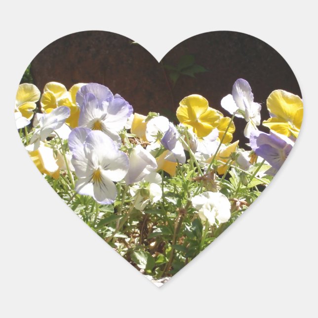Violas in einem Steintrog. Herz-Aufkleber (Vorderseite)