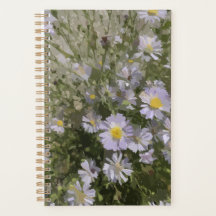 Violet Asters Planer