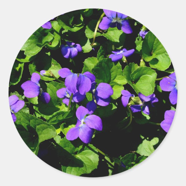 Violet-Aufkleber Runder Aufkleber (Vorderseite)