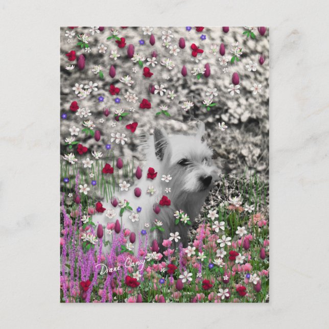 Violet bei Blume - Weißer Westie Postkarte (Vorderseite)