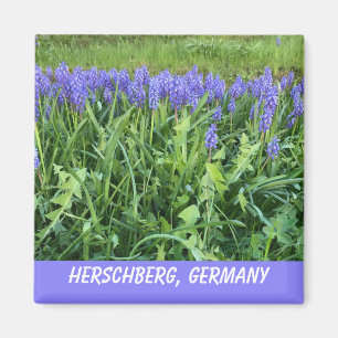 Violet Bluebell Magnet
