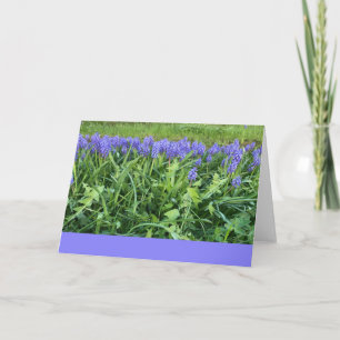 Violet Bluebells Fotografie - Herschberg, Deutschl Karte