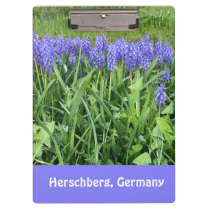 Violet Bluebells Fotografy - Herschberg, Deutschla Klemmbrett