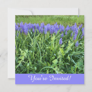 Violet Bluebells Fotokarte Mitteilungskarte