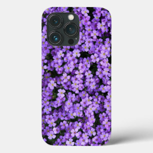 Violet Blume iPhone Case Violets Spring
