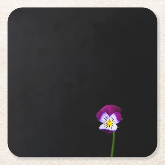 Violet-Blume Rechteckiger Pappuntersetzer (Vorderseite)