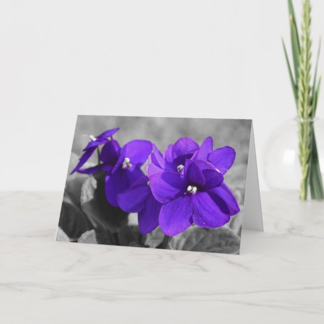 Violet, carte (Devant)