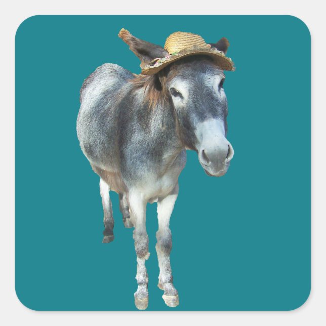 Violet den Donkey in Strohhut mit Blume Quadratischer Aufkleber (Vorderseite)