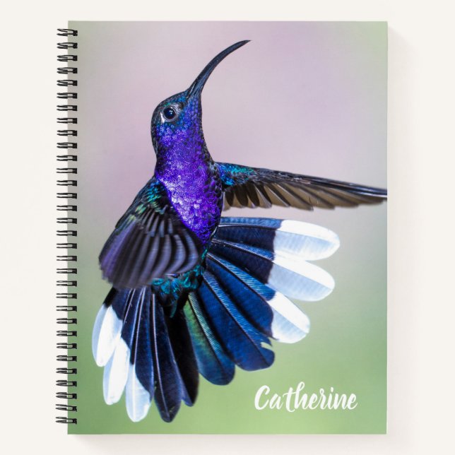 Violet Hummingbird mit schönen Federn nach Maß Notizbuch (Vorderseite)