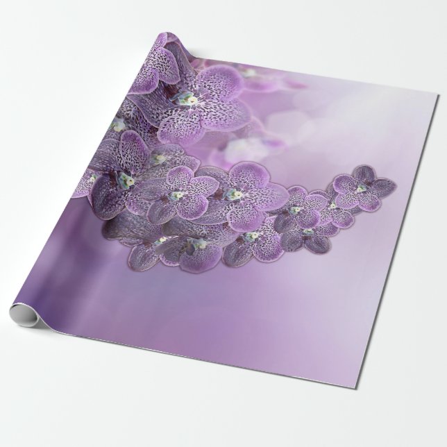 Violet Lila Blooming Blume Orchids Kupplung Geschenkpapier (Ungerollt)