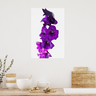 Violet Lila Gladiolus Floral Poster