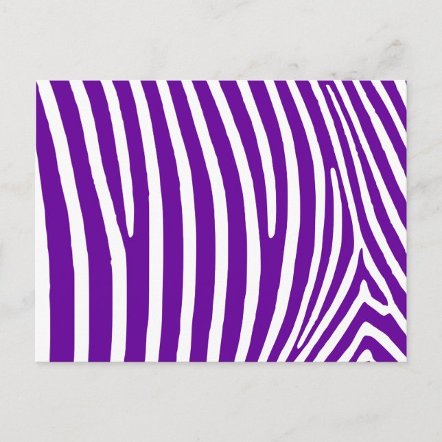 Violet Lila Zebra Streifen Postkarte (Vorderseite)