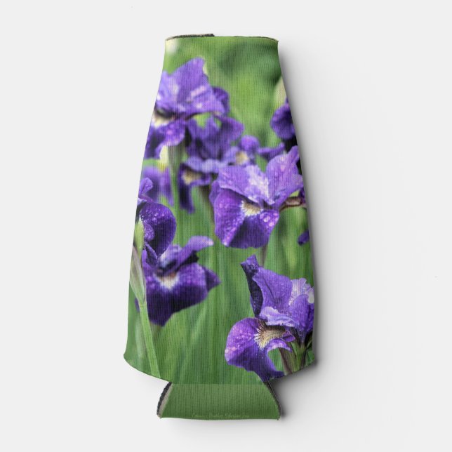 Violet sibirische Iris, Ceasars Bruder Flaschenkühler (Vorderseite)