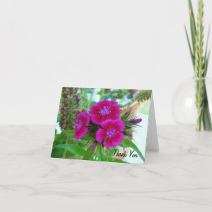 Violet Sweet Williams - Blumennotecard Dankeskarte