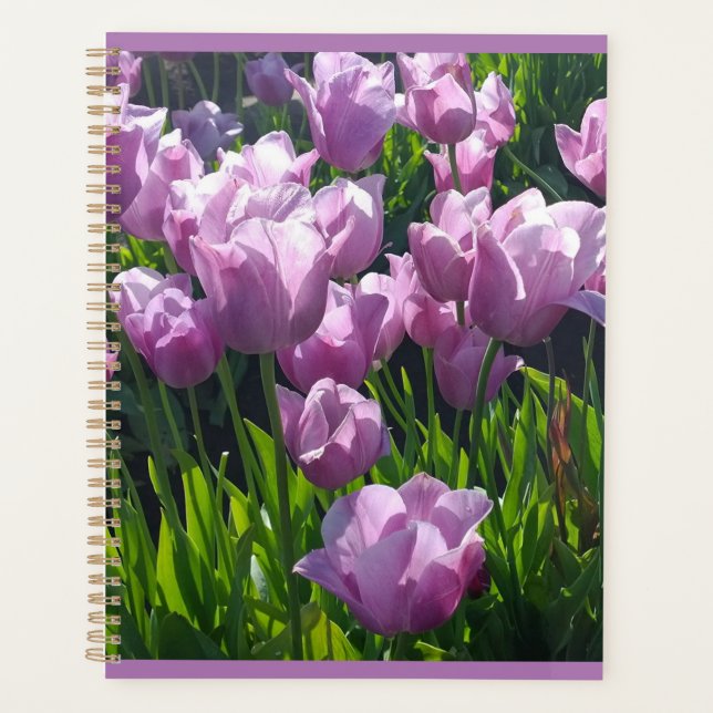 Violet Tulips, Oregon Planer (Vorderseite)