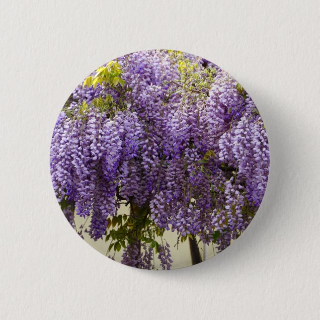 Violet Wisteria Blume Button (Vorderseite)