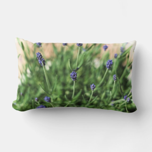 Violets Coussin (Recto)