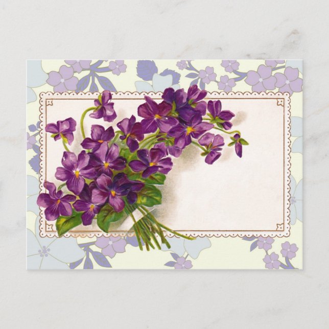 Violets für jeden Anlass - Fügen Sie Ihre eigenen  Postkarte (Vorderseite)