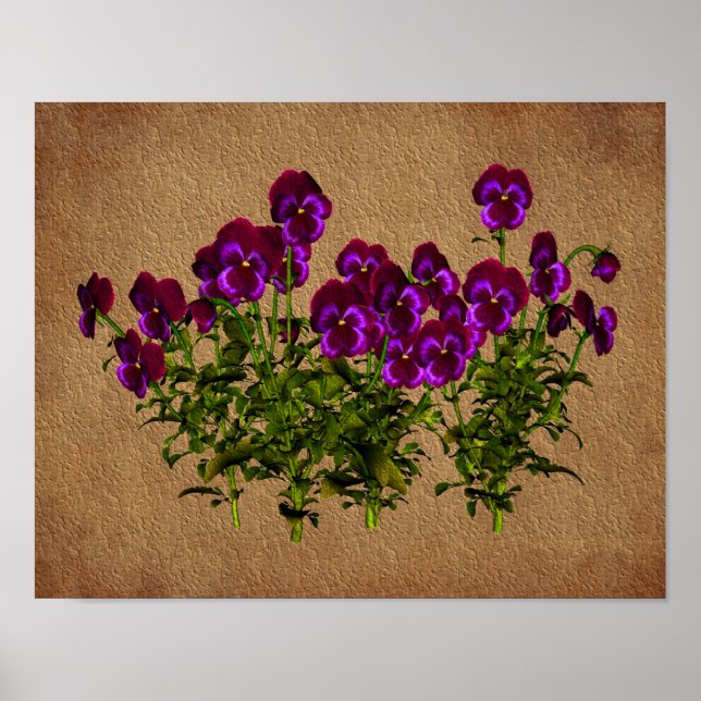 Violets Sur Papier Vieilli Poster D'Art Floral (Devant)