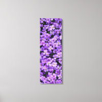 Violett Blume Canvas Print Violets Spring