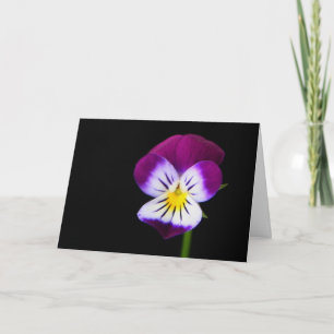 Violett-Blume gcm Karte