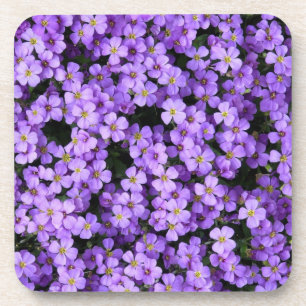 Violett-Blume Getränkeuntersetzer