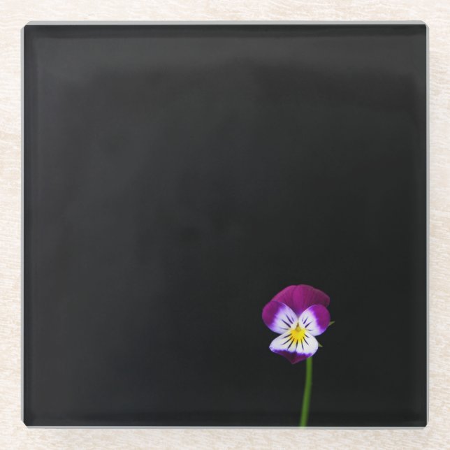 Violett-Blume-Küstenercnm Glasuntersetzer (Vorderseite)