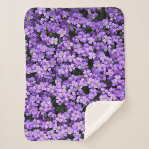 Violett-Blume Sherpadecke