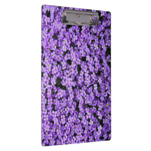 Violett-Blume Zwischenablage Klemmbrett