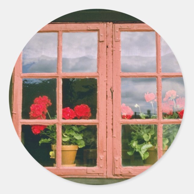 Violett-Geranien im Fenster eines traditionellen H Runder Aufkleber (Vorderseite)