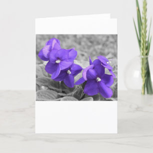 Violett, Karte