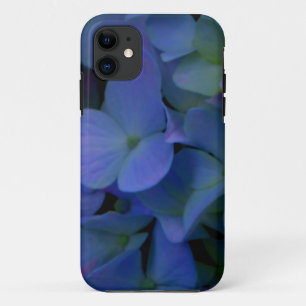 Violett lila-rosa-blaue Hydrangeas-Blume title_seo2