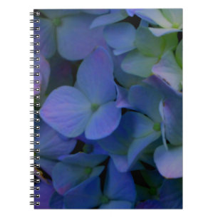 Violett lila-rosa-blaue Hydrangeas-Blume Notizblock