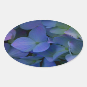 Violett lila-rosa-blaue Hydrangeas-Blume Ovaler Aufkleber