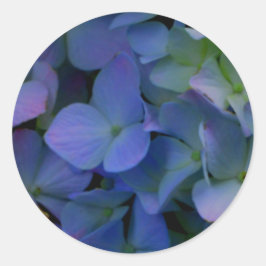 Violett lila-rosa-blaue Hydrangeas-Blume Runder Aufkleber