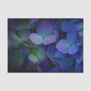 Violett lila-rosa-blaue Hydrangeas-Blume Seidenpapier