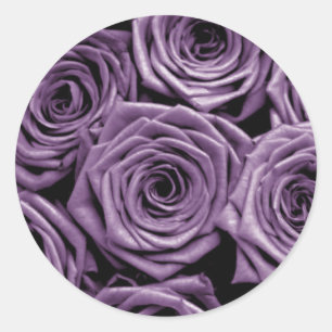 Violett-Rose Runder Aufkleber