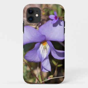 Violett von Vögeln mit Blüten iPhone 11 Hülle