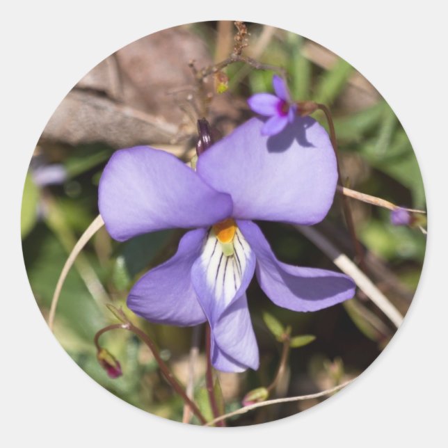 Violett von Vögeln mit Blüten Runder Aufkleber (Vorderseite)