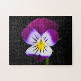 Violette Blume 11x14 252pc jpcnm