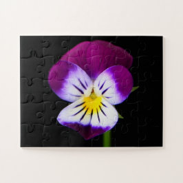 Violette Blume 11x14 30pc jpcnm