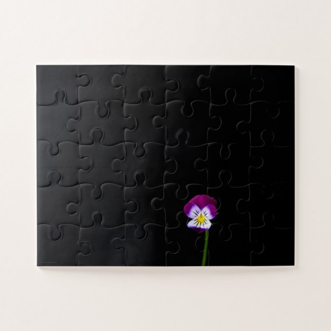 Violette Blume 11x14 30pc jpcnm (Horizontal)