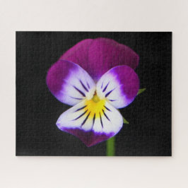 Violette Blume 16x20 520pc jpcnm