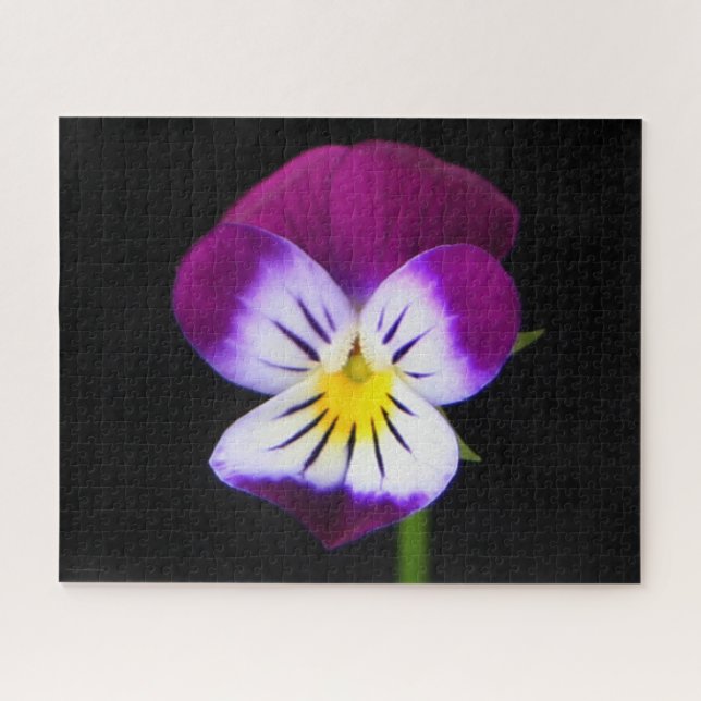 Violette Blume 16x20 520pc jpcnm (Horizontal)