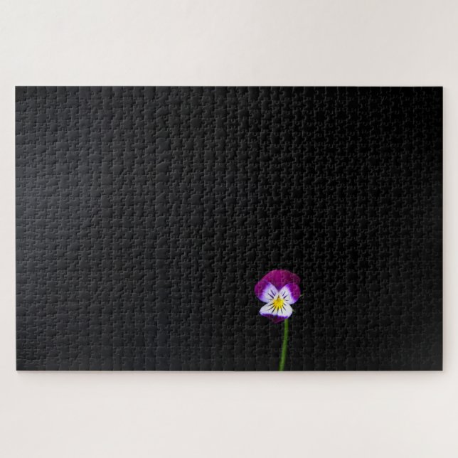 Violette Blume 20x30 1014pc jpa (Horizontal)