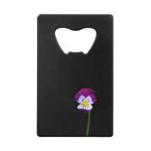 Violette Blume bocnm