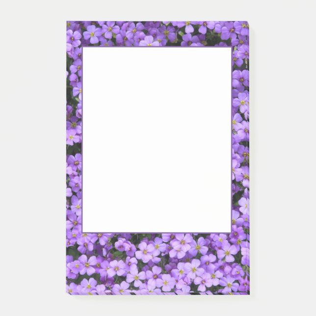 Violette Blume Gerahmt Post it Notes Violets Blume Post-it Klebezettel (Vorderseite)